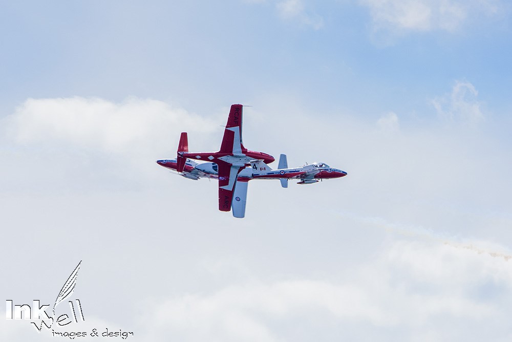 Art prints-aircraft, Snow Birds, Tutors (CT114)