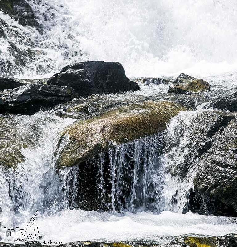 Art prints-details/macro, Movement