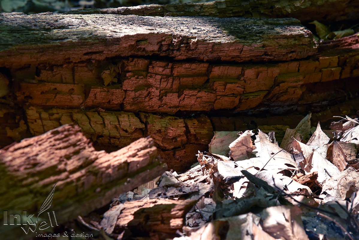 Art prints-details/macro, Strata