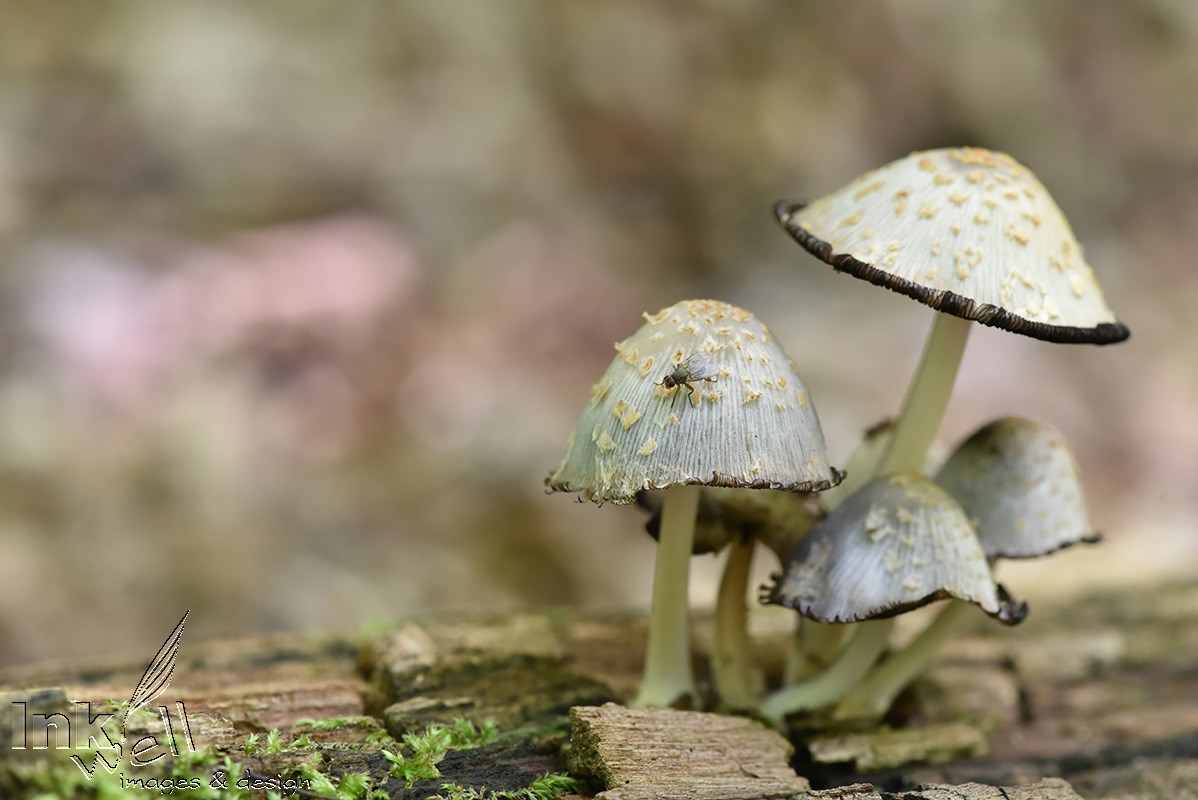 Art prints-details/macro, Beneath Your Feet