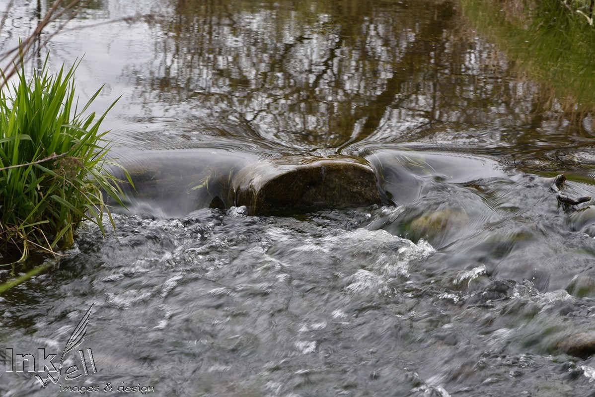 Art prints-details/macro, Bubbling Creek