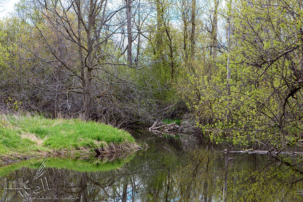 Art prints-landscape, Etobicoke Creek, Brampton ON
