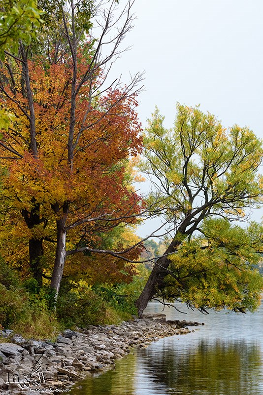 Art prints-landscape, Prince Edward County, ON