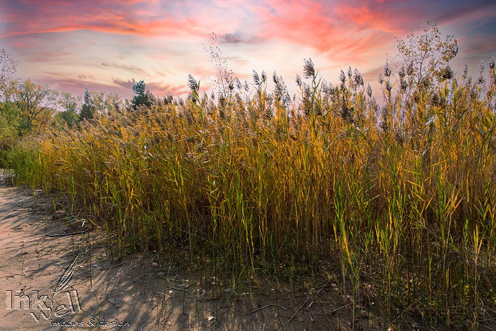 Art prints-landscape, Prince Edward County 