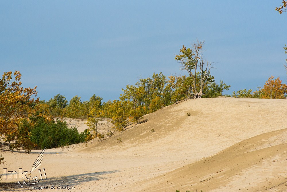 Art prints-landscape, Sandbanks Provincial Pk, ON