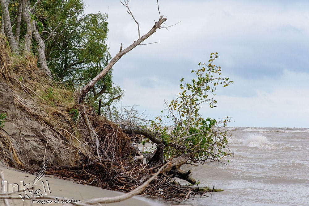 Art prints-landscape, Longpoint ON