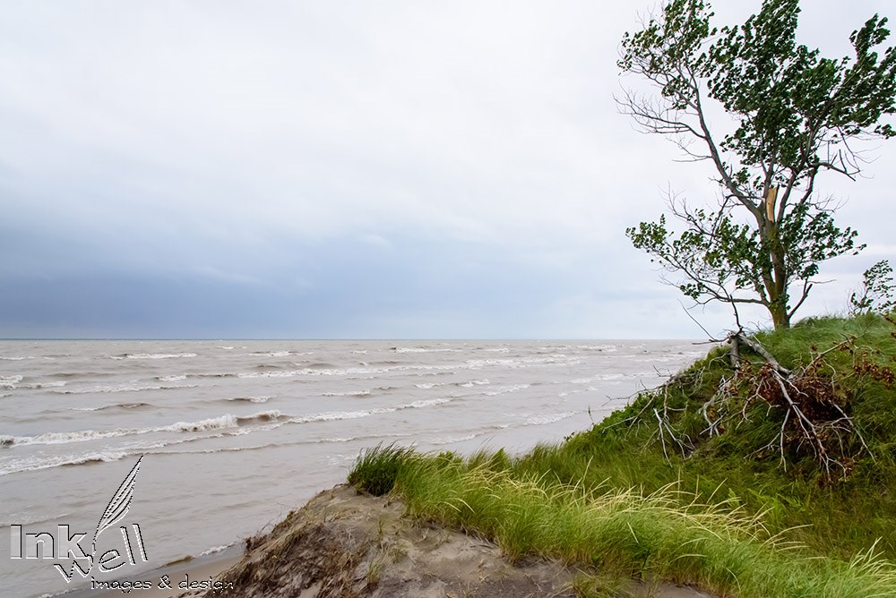 Art prints-landscape, Long Point ON