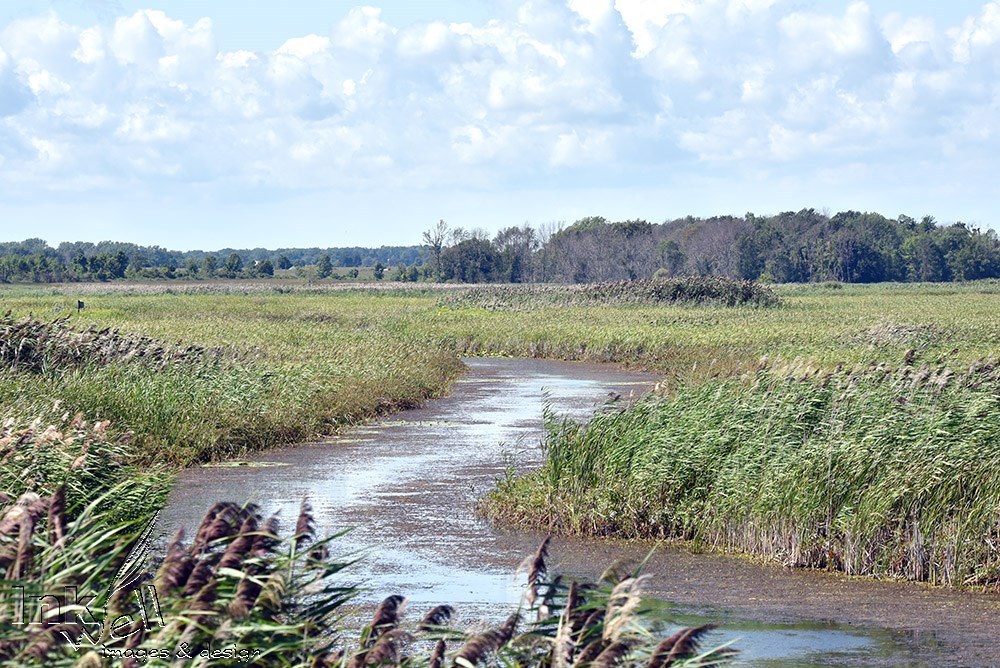 Art prints-landscape, Longpoint, ON