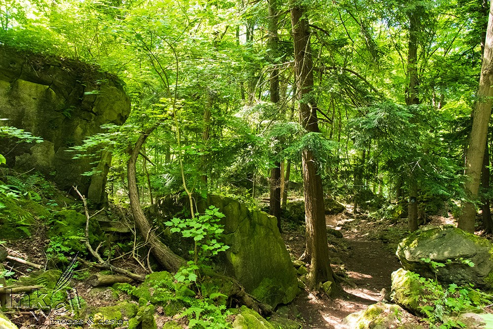 Art prints-landscape, Niagara Glen, Niagara Falls ON