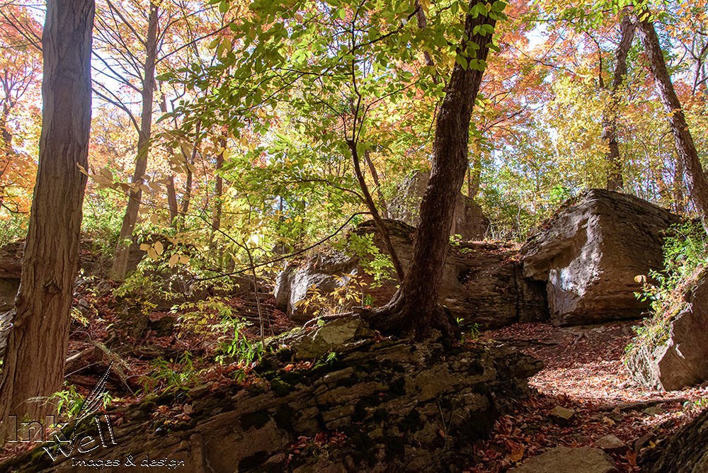 Art prints-landscape, Niagara Glen, Niagara Falls ON