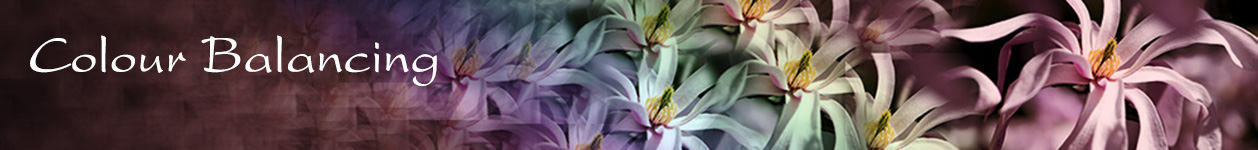 photo restoration header