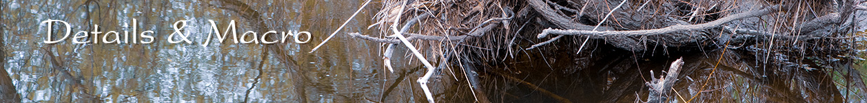 photography used for wall art