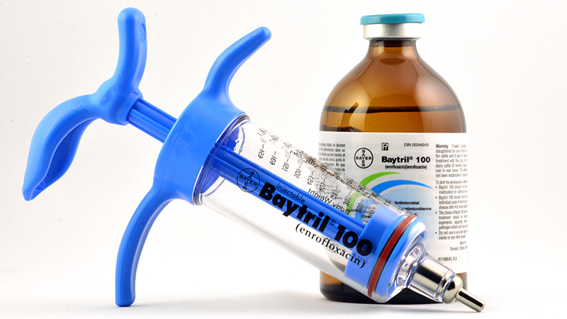 Portrait Image, black background